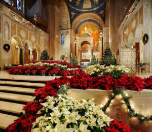 Basilica of the National Shrine of the Immaculate Conception