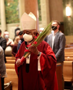 Cardinal Gregory carries palms on Palm Sunday at the Cathedral of St. Matthew the Apostle.