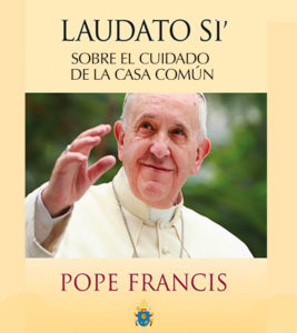 Pope Francis Laudato Si Espanol