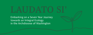Laudato Si' action plan header