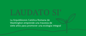 Laudato Si Action Plan header Spanish