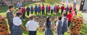 Laudato Si Action Plan