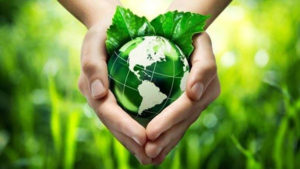 Juntos promoviendo una ecología integral