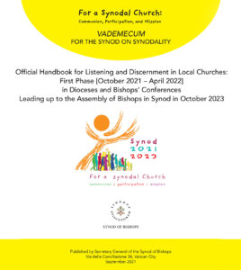 Synod Vademecum cover image