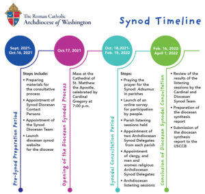 Synod timeline