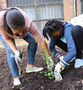Planting Vegetation
