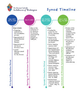 Synod timeline November 2021