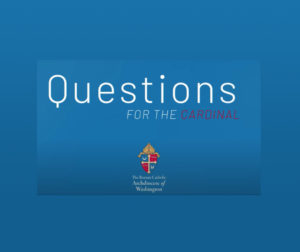 Questions for the Cardinal