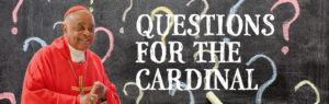 Questions for the Cardinal