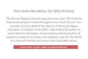 Annual Appeal home video text