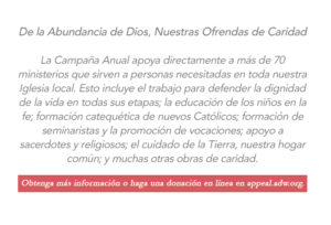 De la Abundancia de Dios, Nuestras Ofrendas de Caridad