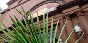 Palm Sunday