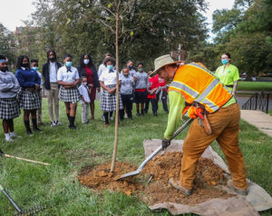 Planting Laudato Trees