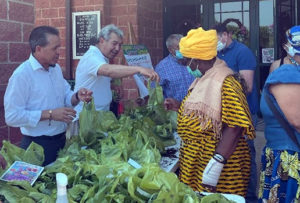 Native plant distribution at St. Mark the Evangelist Parish