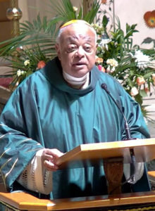 El cardenal Wilton Gregory