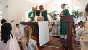 Cardinal Wilton Gregory