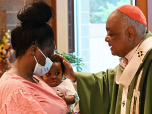 El cardenal Wilton Gregory