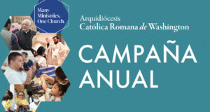 Gráfico de donación web de la Campaña anual