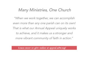 Annual Appeal home video text