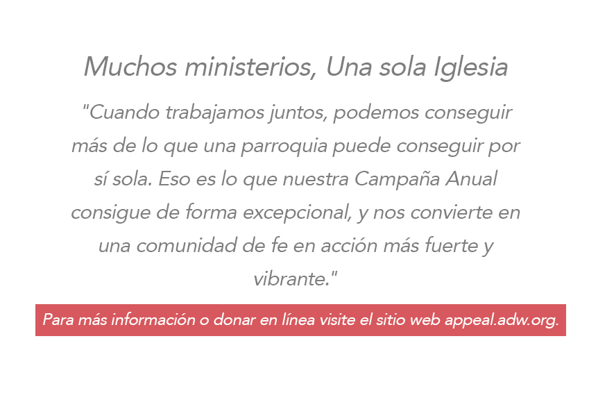 Annual Appeal Text Graphic in Spanish
