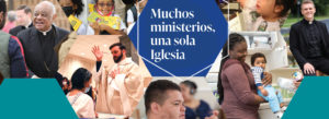 Campaña anual