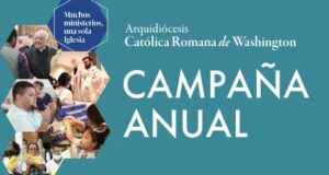 Campaña anual