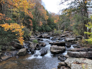 Water over rocks in Park-Care of Creation