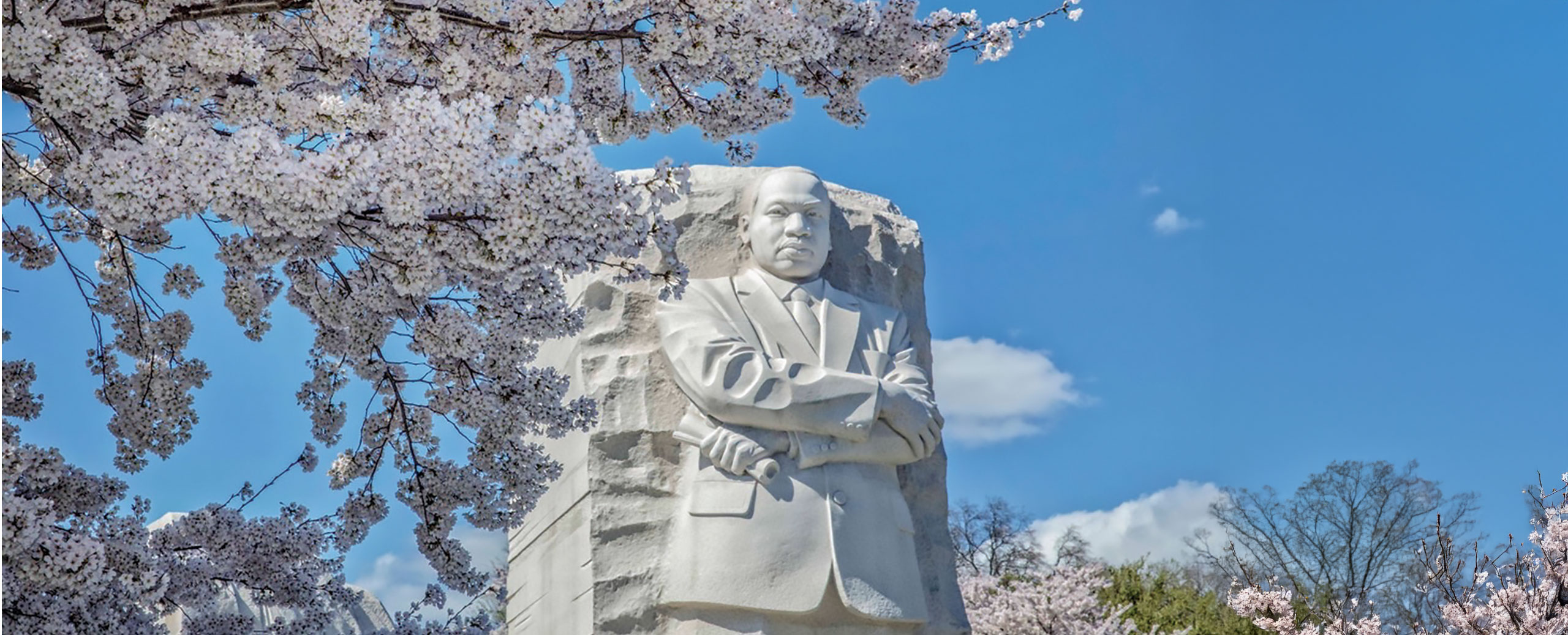 MLK Jr Banner