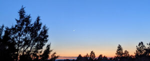 Cresent Moon and Venus