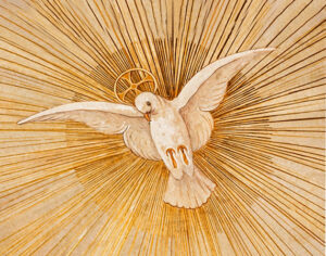Dove of Peace