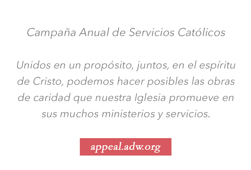 Campaña Anual de Servicios Católicos