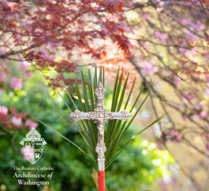 Palm Sunday