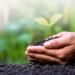 Laudato Si