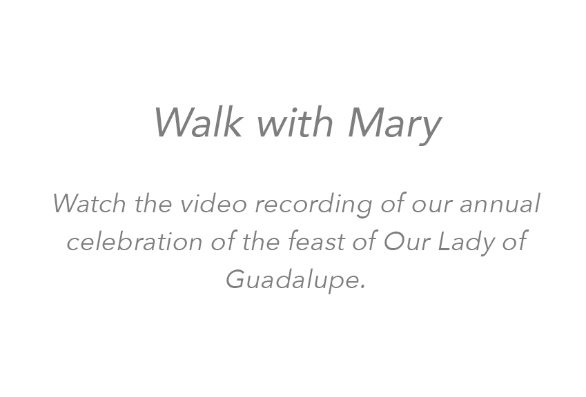 25-wwm-eng-rec2-homepage-video-text