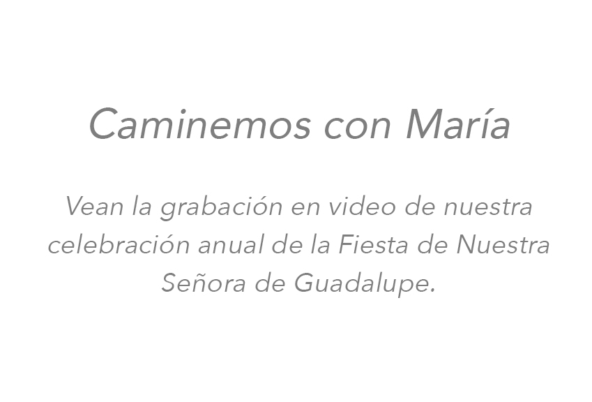 25-wwm-esp-rec-homepage-video-text