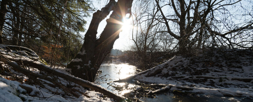 25-snowsunriseriverbanner-scaled-2