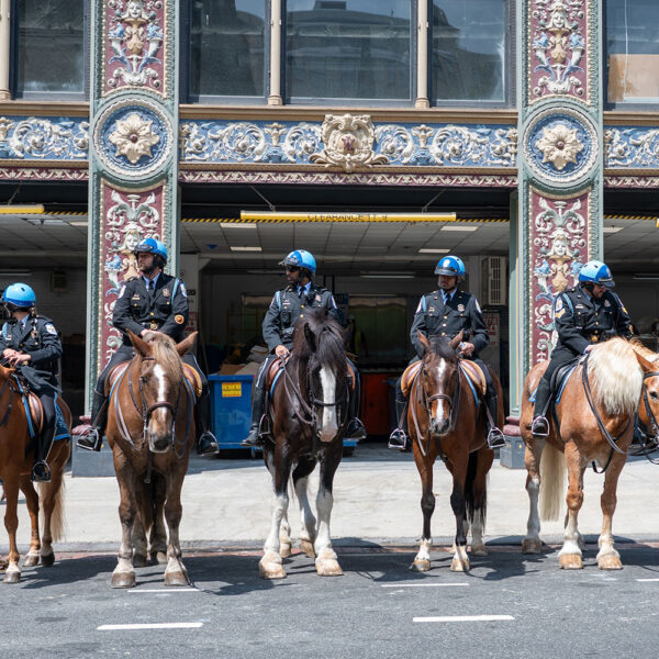 050625BlueMass_2-sq-sld