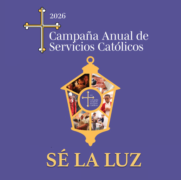 26-appeal-box-support-feature-sq-es