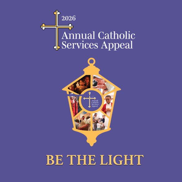 26-appeal-box-support-feature-sq