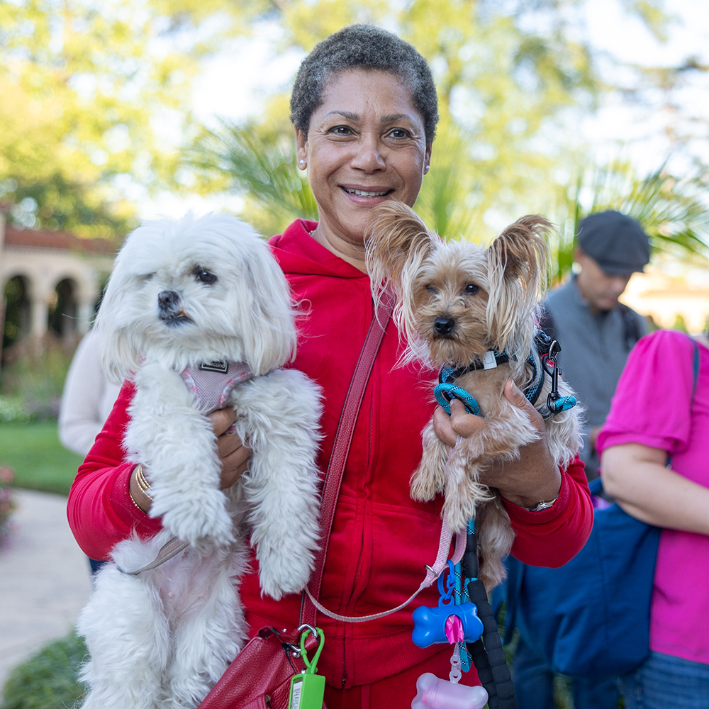 Blessing of the Animals